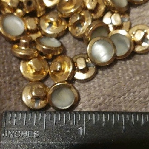 Mother pearl abalone shell - mother,