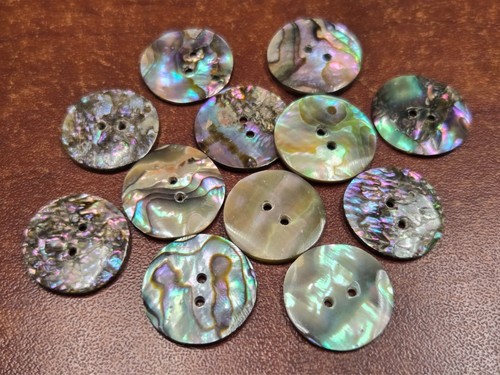 Pcs round abalone shell - round,