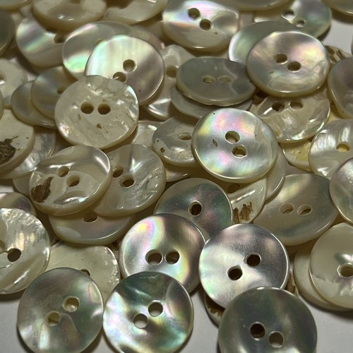 White rainbow real abalone - white,